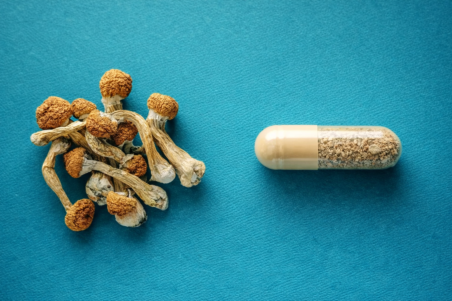11 Million Americans Used Psilocybin Last Year -And Most of Them Microdosed